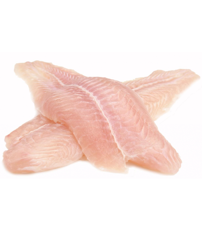 PANGASIUS ΦΙΛΕΤΟ