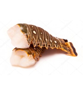 ΑΣΤΑΚΟΟΥΡΕΣ ΚΑΡΑΪΒΙΚΗΣ (LOBSTER TAILS CARIBEAN)
