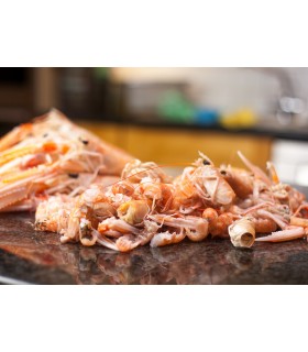 ΚΑΡΑΒΙΔΕΣ ΚΕΦΑΛΙ & ΔΑΓΚΑΝΕΣ